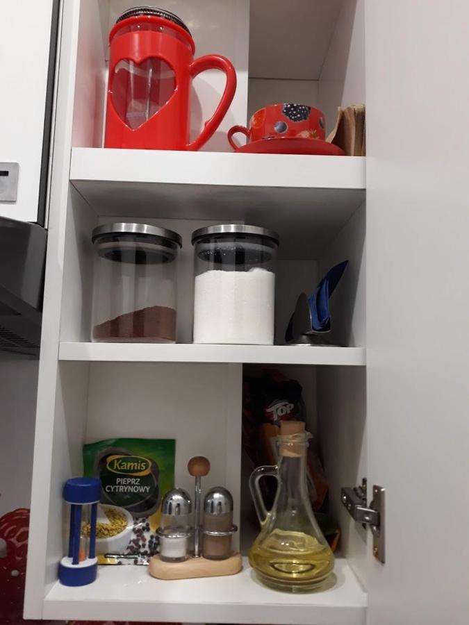 Apartament W Sercu Warmii II Olsztyn  Esterno foto